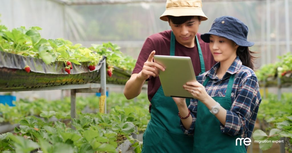 Understanding the Subclass 462 Work and Holiday Visa: Your Guide to Working and Travelling in Australia